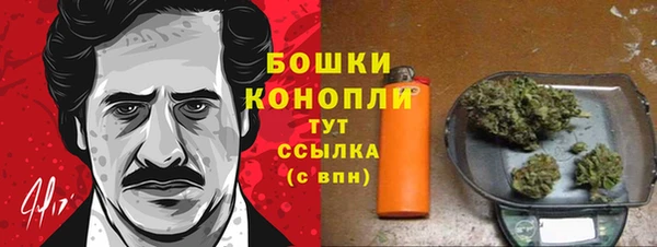 шишки Алексеевка