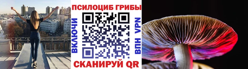 Псилоцибиновые грибы мицелий Калтан